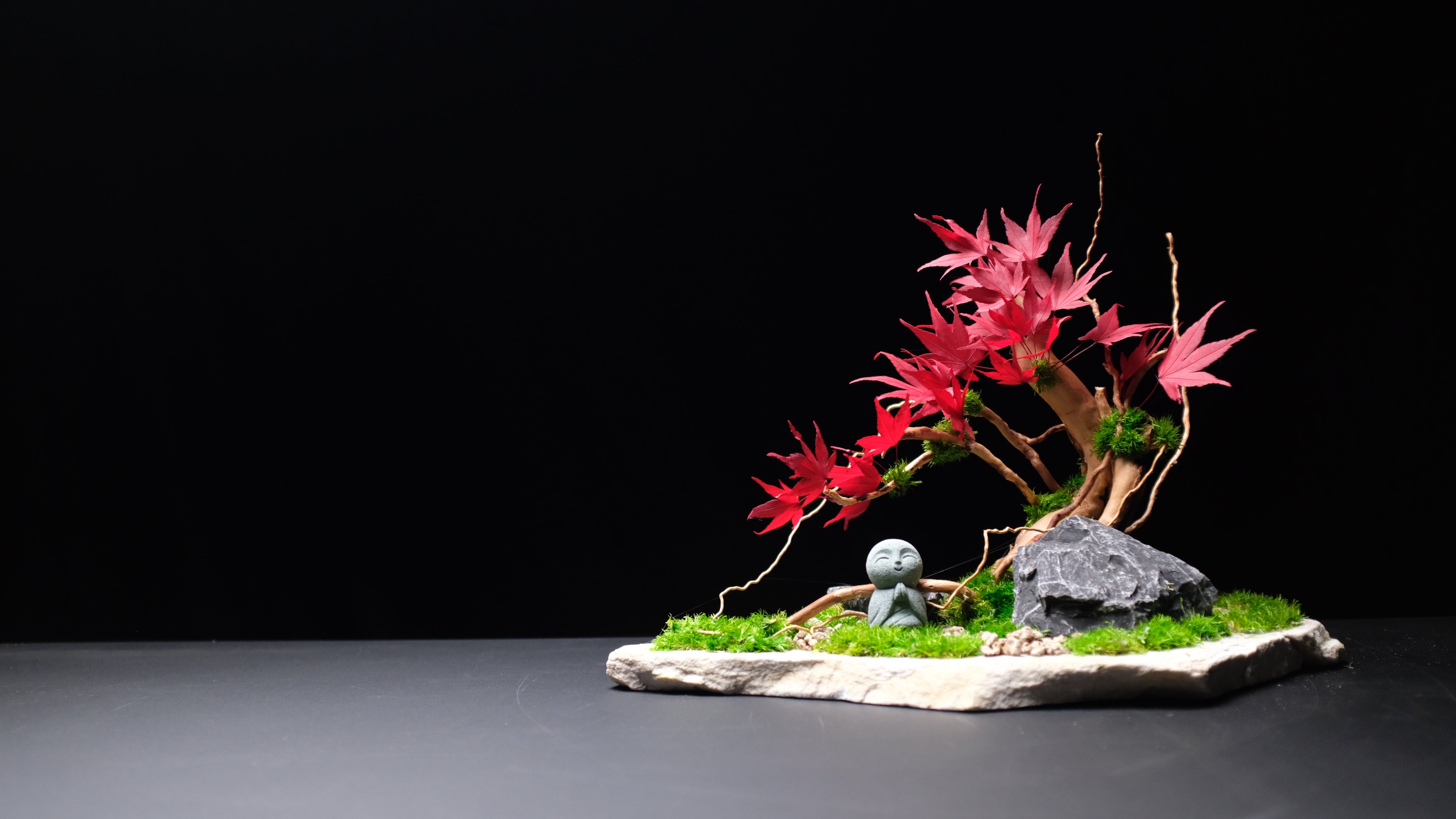 Journeyman in the East - Maple Wood (Preserved Plants)