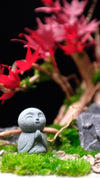 Journeyman in the East - Maple Wood (Preserved Plants)