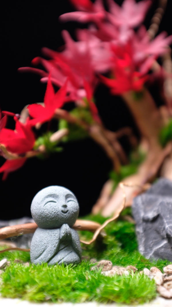 Journeyman in the East - Maple Wood (Preserved Plants)