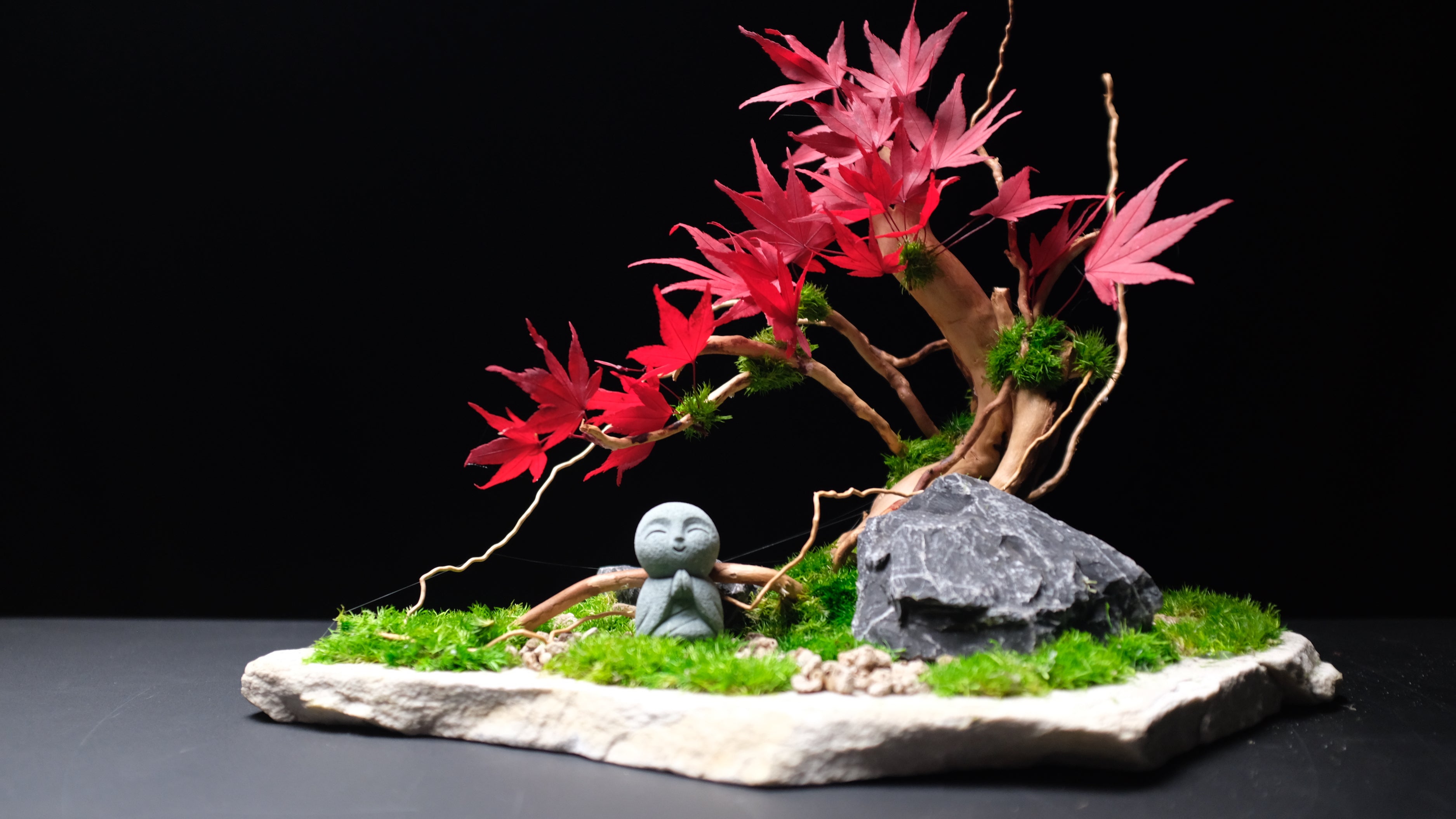 Journeyman in the East - Maple Wood (Preserved Plants)