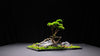 Slow Hill - Blackstone edition (Preserved Plants)