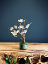 A Small Tree in the East - Violet (Preserved Plants)