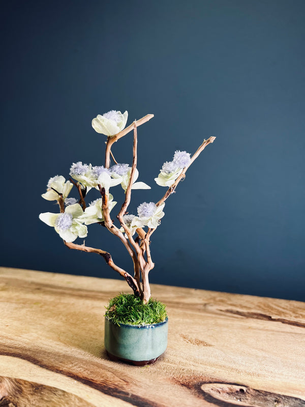 A Small Tree in the East - Violet (Preserved Plants)
