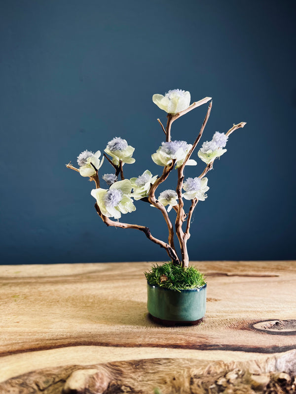 A Small Tree in the East - Violet (Preserved Plants)