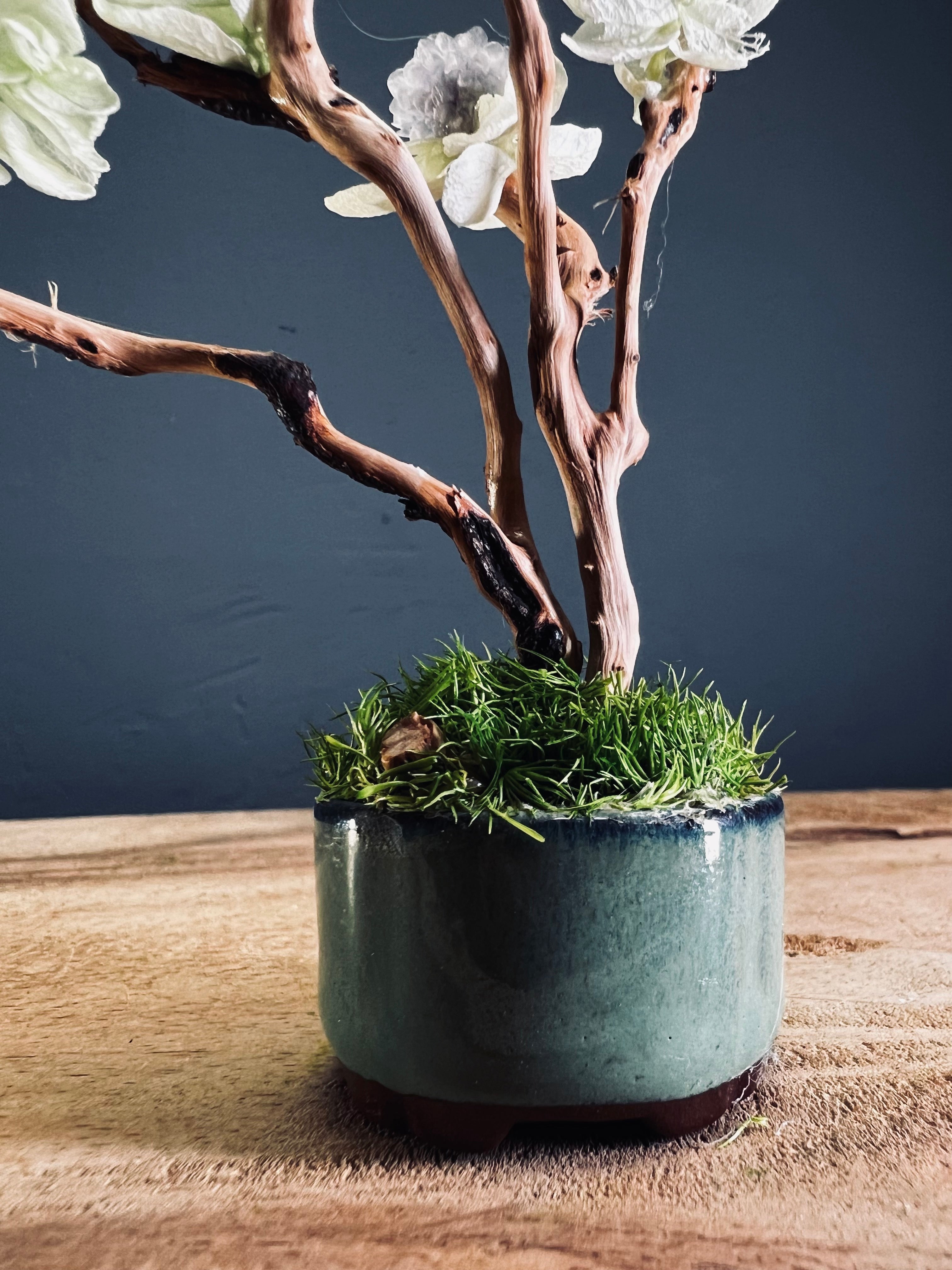 A Small Tree in the East - Violet (Preserved Plants)