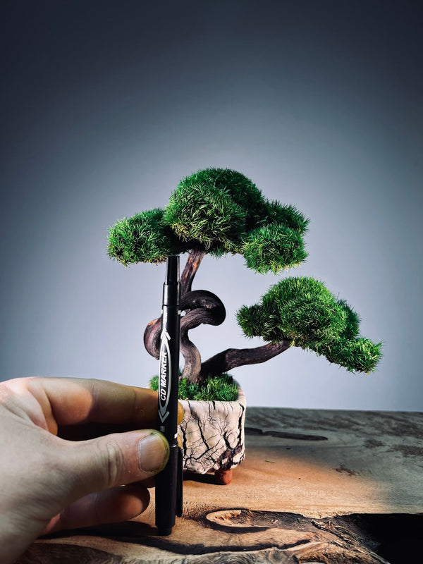 Dancer by the Walden Pond (Preserved Plants)