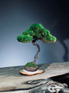 Light in the Garden - Rosewood (Preserved Plants)