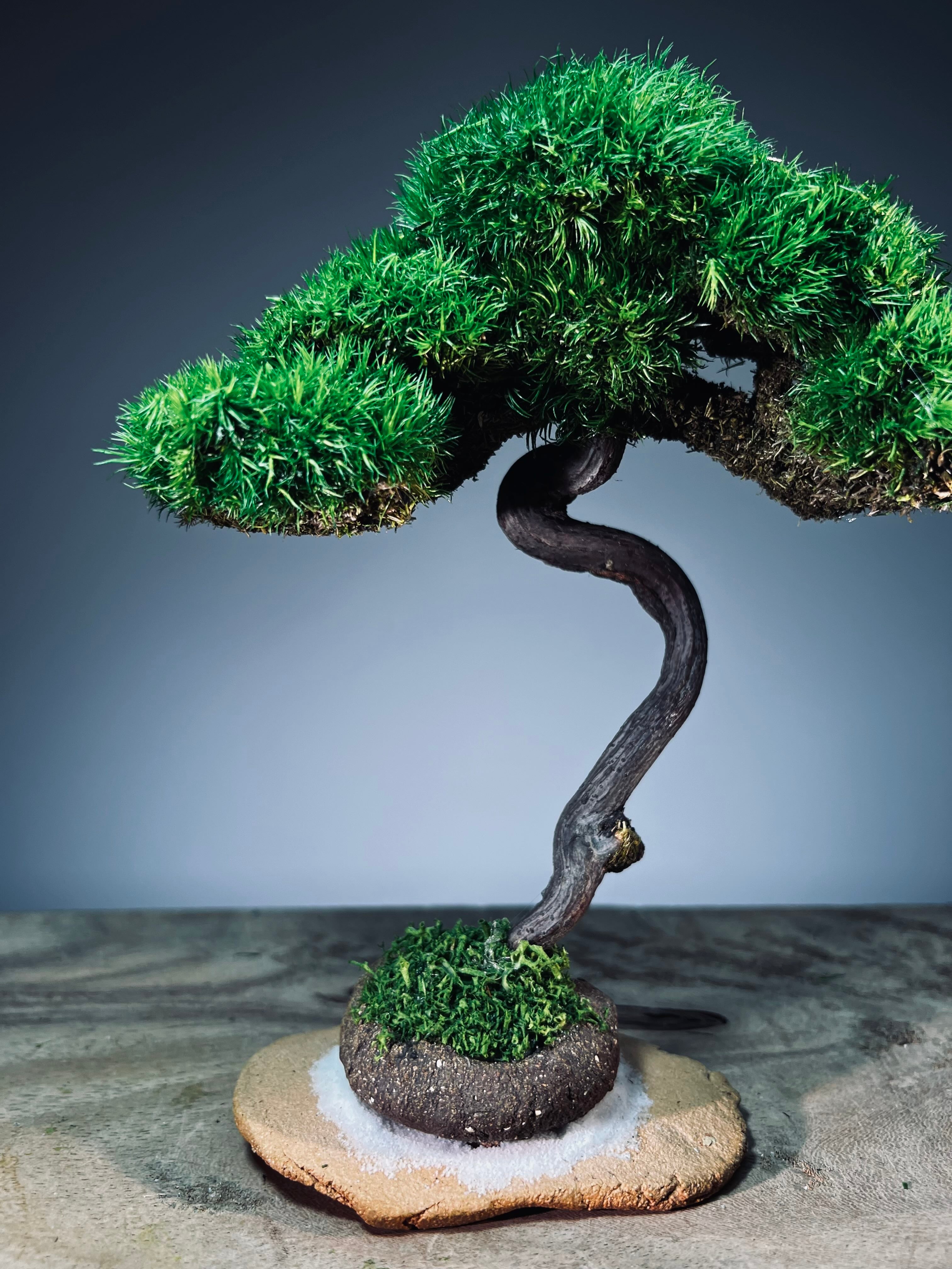 Light in the Garden - Rosewood (Preserved Plants)