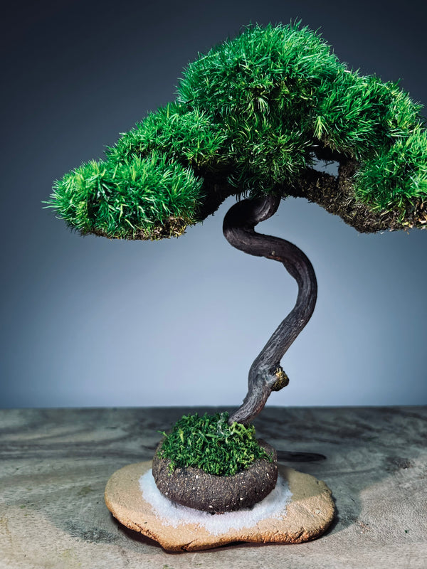 Light in the Garden - Rosewood (Preserved Plants)