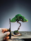 Light in the Garden - Rosewood (Preserved Plants)