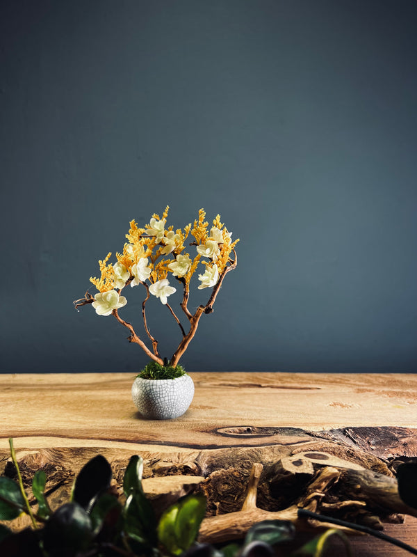 A Small Tree in the East - Golden Autumn (Preserved Plants)
