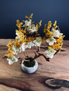 A Small Tree in the East - Golden Autumn (Preserved Plants)