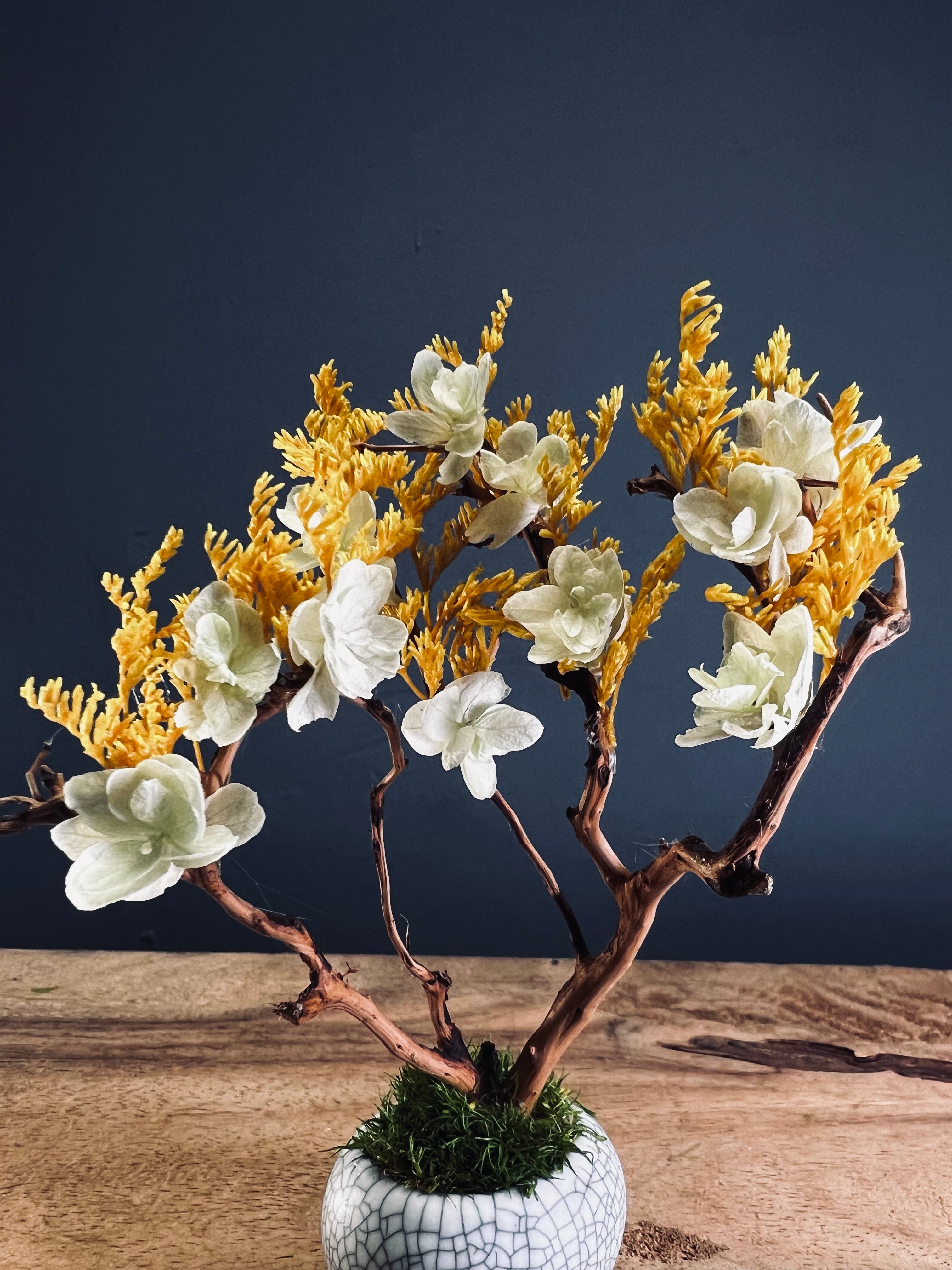 A Small Tree in the East - Golden Autumn (Preserved Plants)
