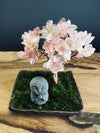 A Small Tree in the East - Sakura - Journeyman edition (Preserved Plants)