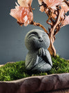 A Small Tree in the East - Sakura - Journeyman edition (Preserved Plants)