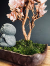 A Small Tree in the East - Sakura - Journeyman edition (Preserved Plants)