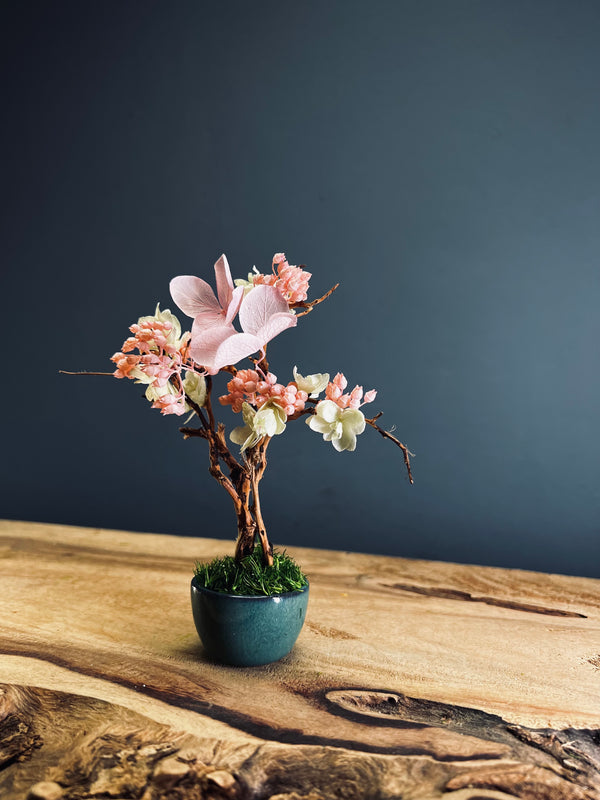 A Small Tree in the East - Cherry in Wait (Preserved Plants)