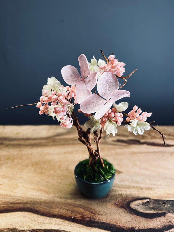 A Small Tree in the East - Cherry in Wait (Preserved Plants)