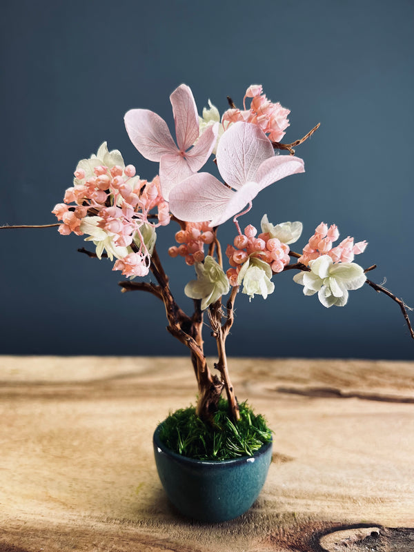 A Small Tree in the East - Cherry in Wait (Preserved Plants)