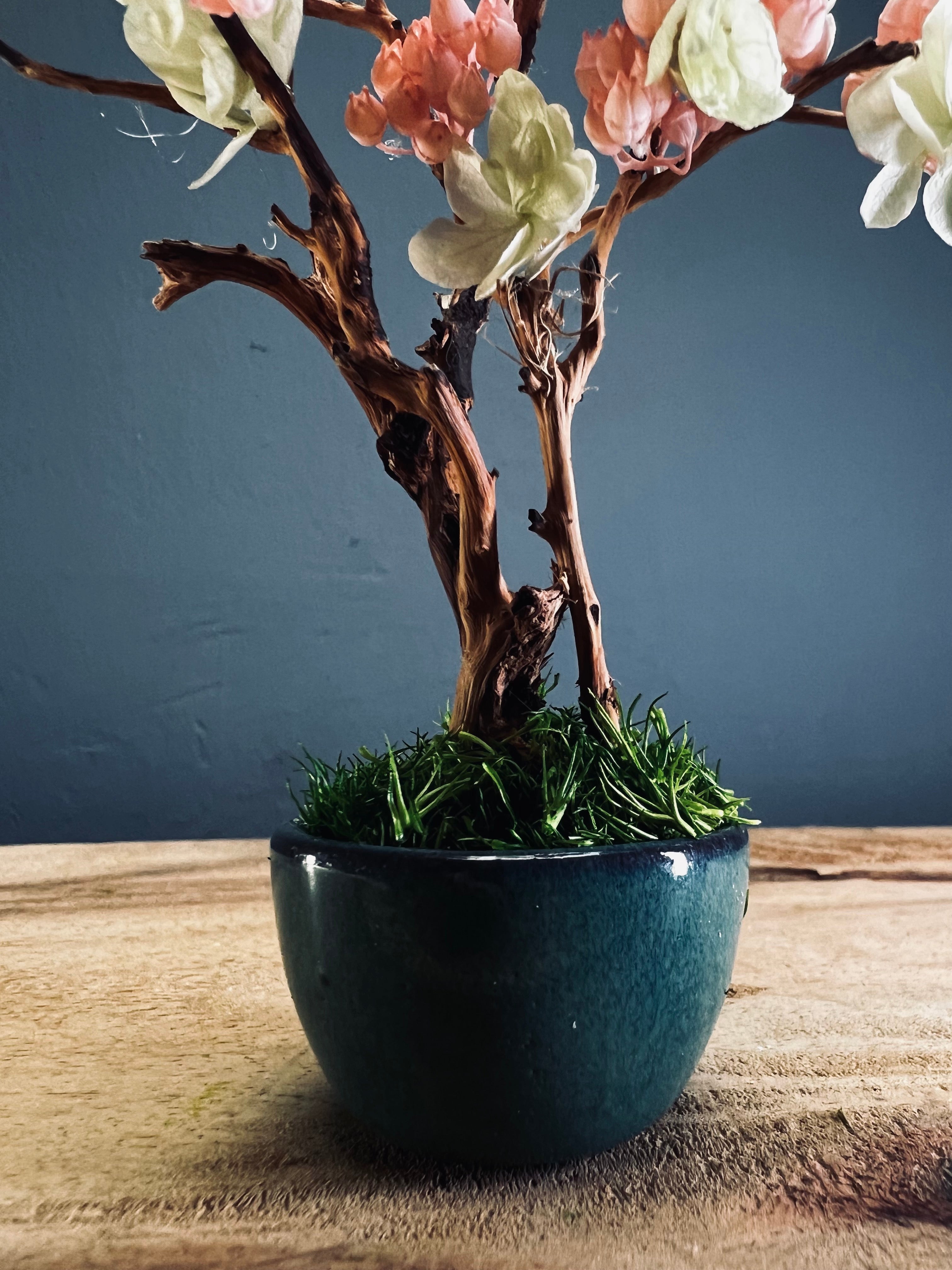 A Small Tree in the East - Cherry in Wait (Preserved Plants)