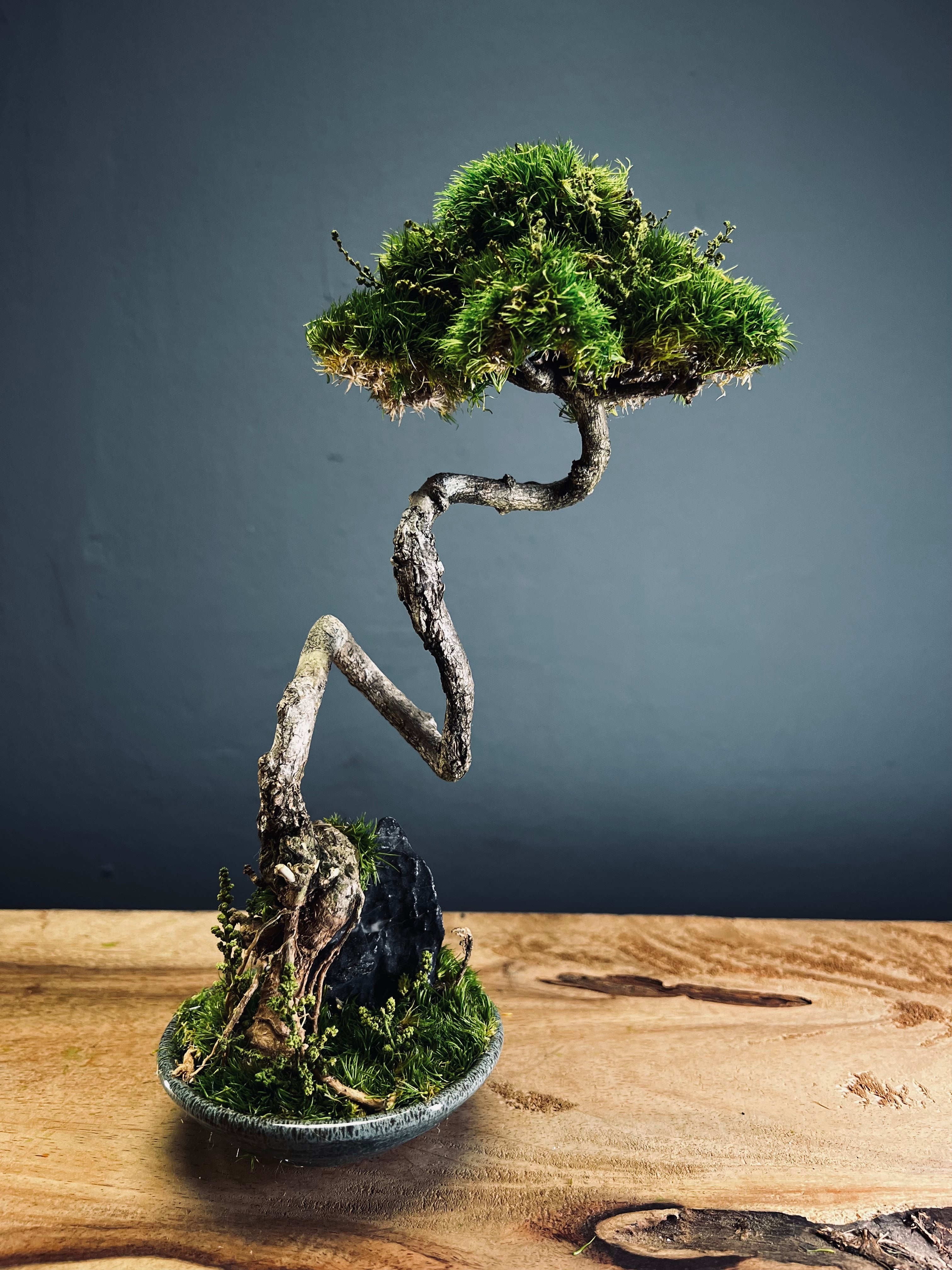 Poet of the Forest (Preserved Plants)