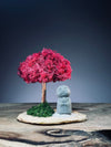 A Small Tree in the East - Fire Heart - Reindeer - Journeyman (Preserved Plants)