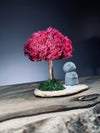 A Small Tree in the East - Fire Heart - Reindeer - Journeyman (Preserved Plants)