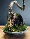 Poet of the Forest (Preserved Plants)