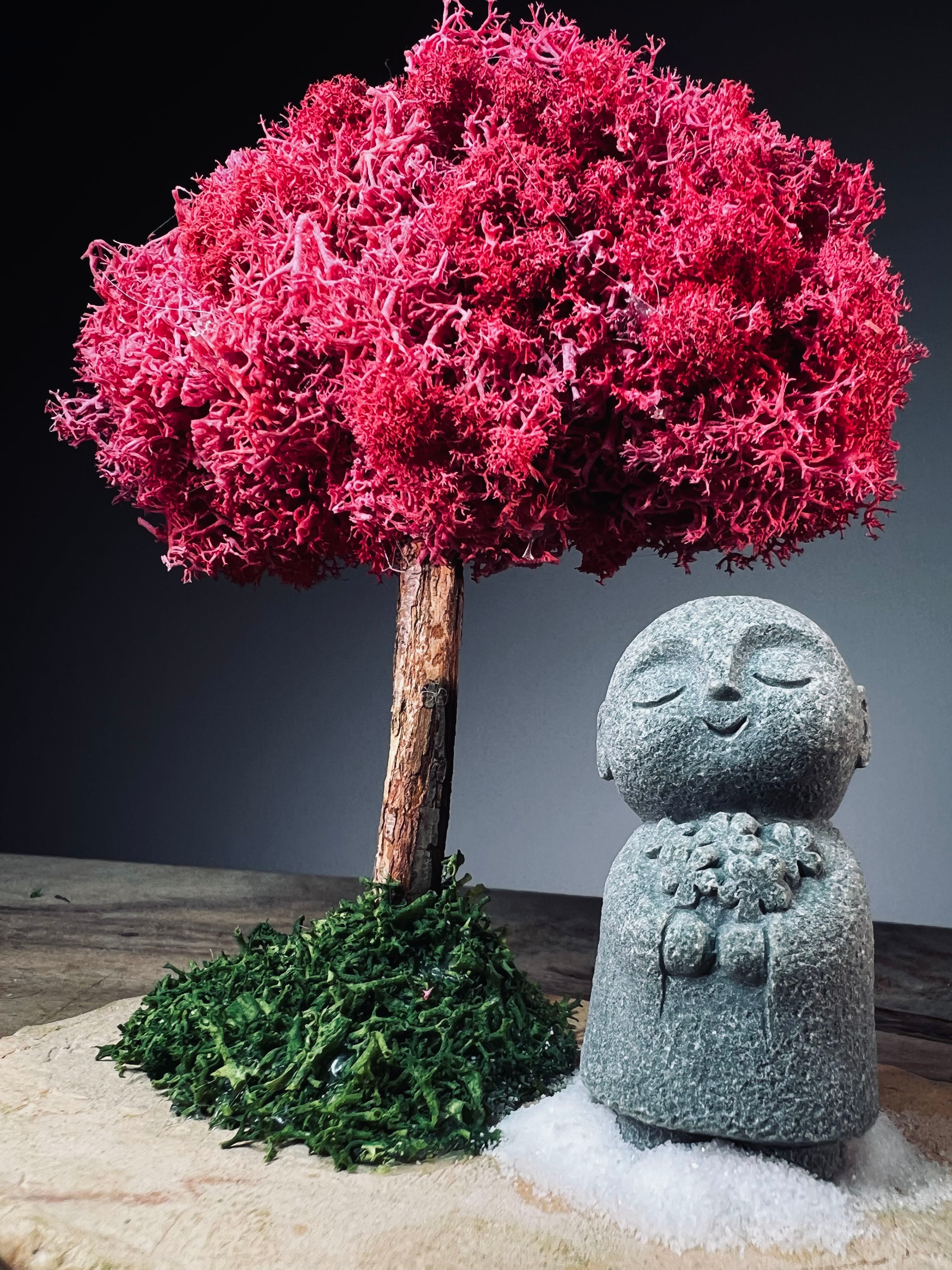 A Small Tree in the East - Fire Heart - Reindeer - Journeyman (Preserved Plants)