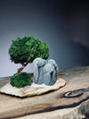 A Small Tree in the East - Reindeer - Trio of Everjoy (Preserved Plants)