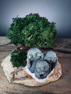 A Small Tree in the East - Reindeer - Trio of Everjoy (Preserved Plants)