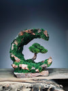 Half-Moon Bay - Crescent (Preserved Plants)