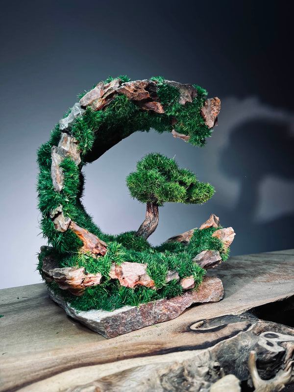 Half-Moon Bay - Crescent (Preserved Plants)