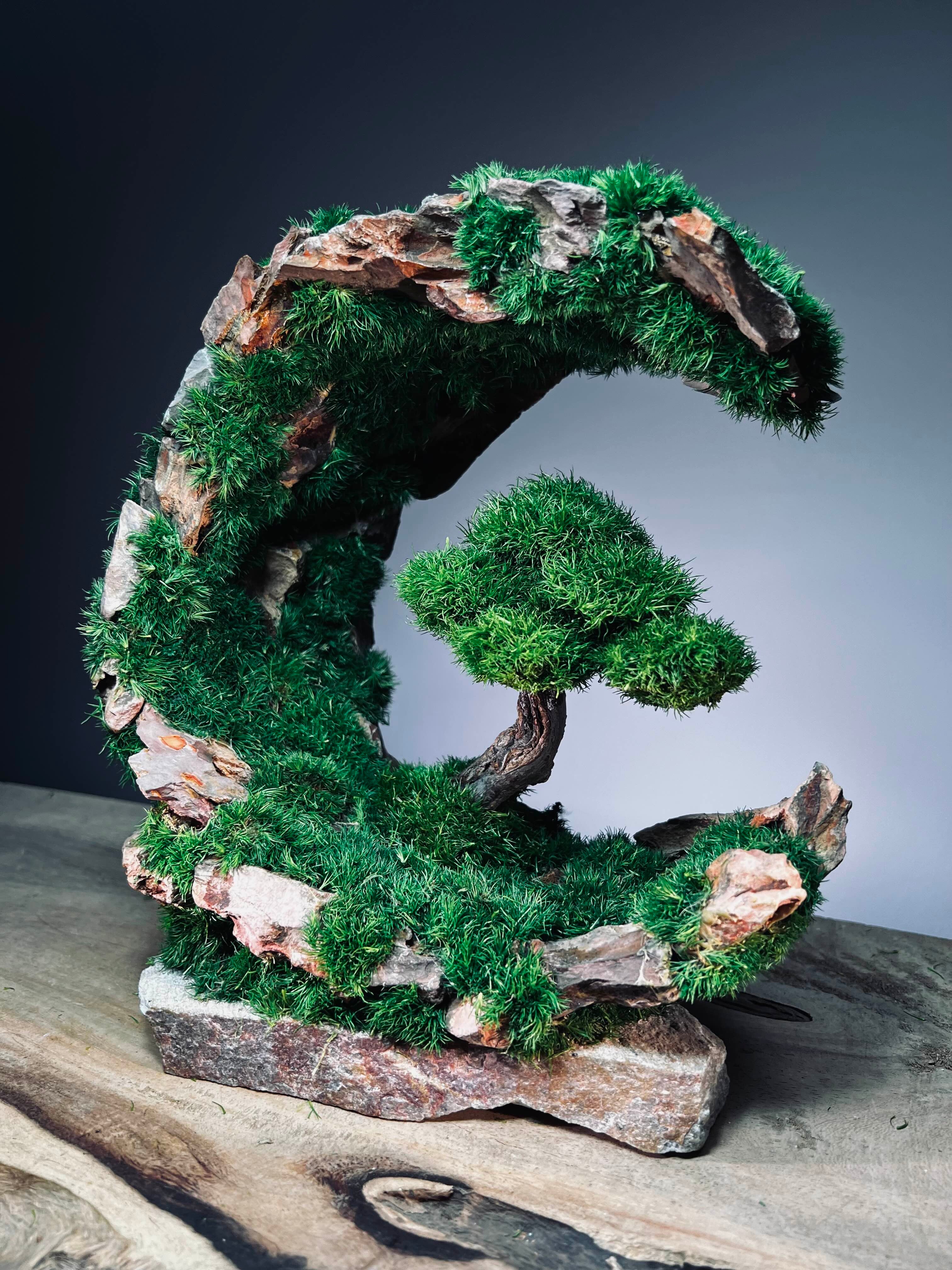 Half-Moon Bay - Crescent (Preserved Plants)