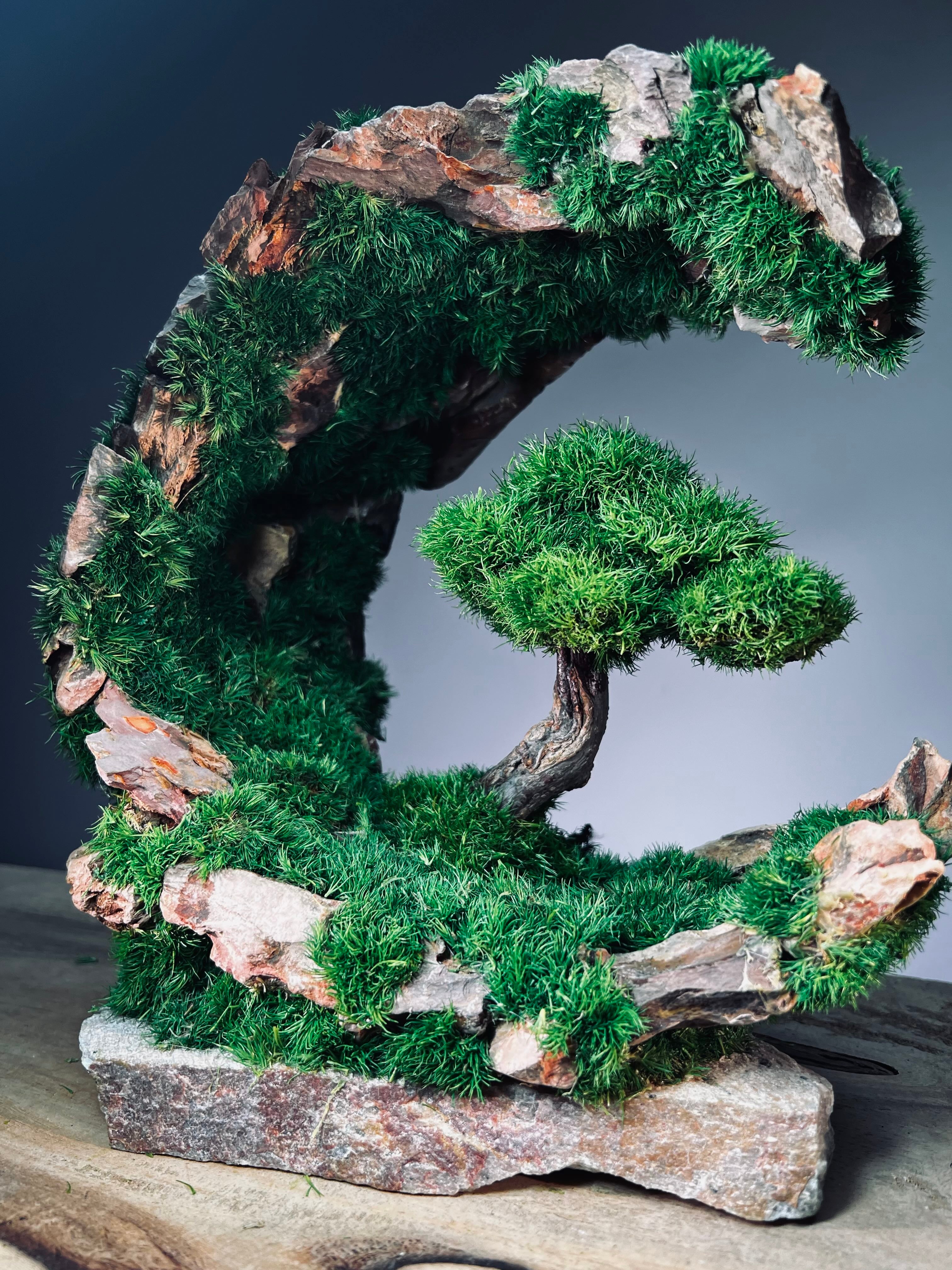 Half-Moon Bay - Crescent (Preserved Plants)