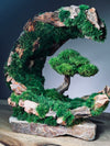 Half-Moon Bay - Crescent (Preserved Plants)