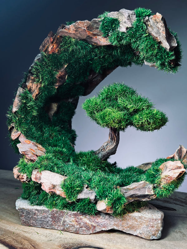 Half-Moon Bay - Crescent (Preserved Plants)