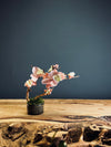 A Small Tree in the East - Cherry in Wait (Preserved Plants)