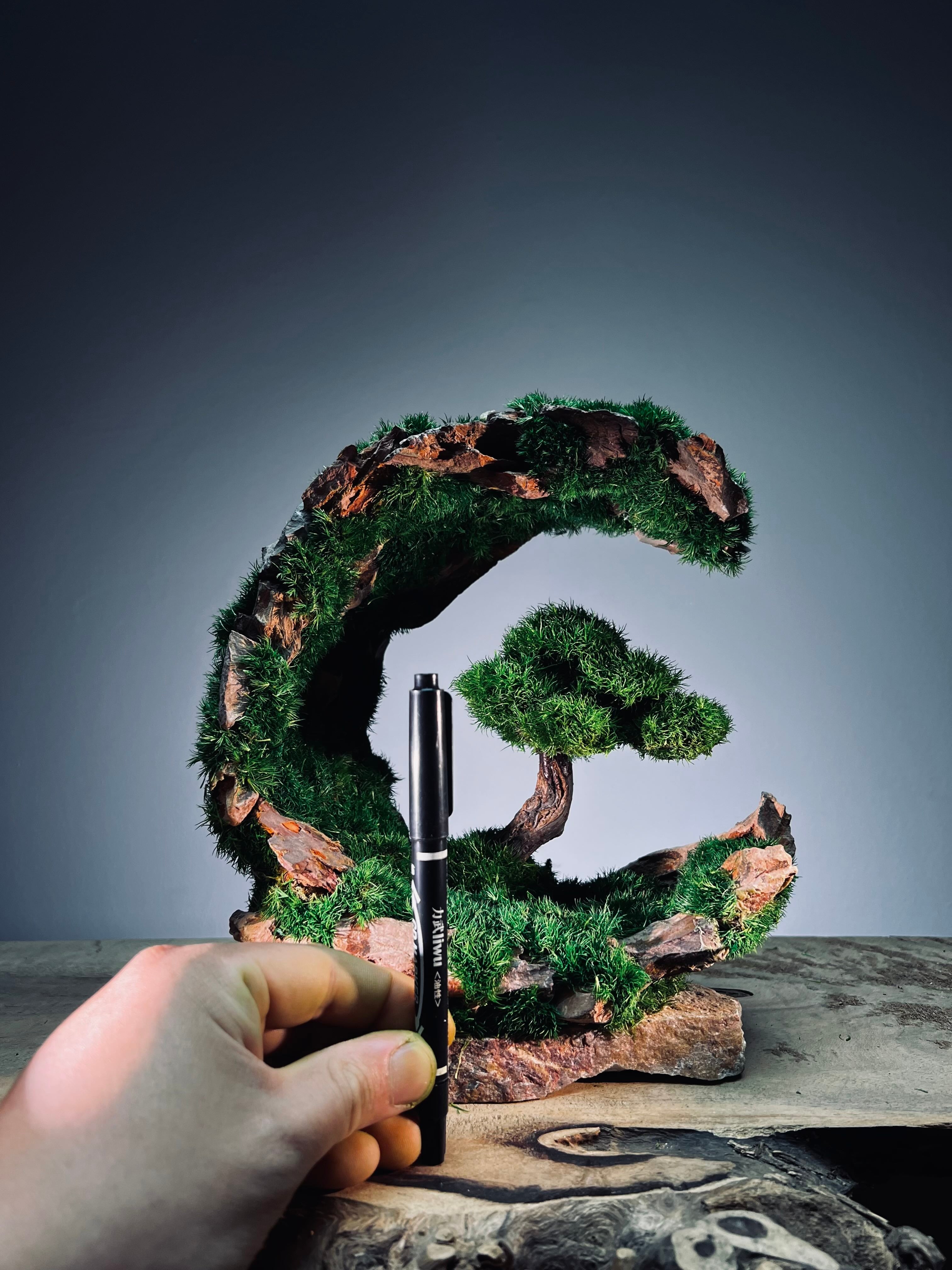 Half-Moon Bay - Crescent (Preserved Plants)