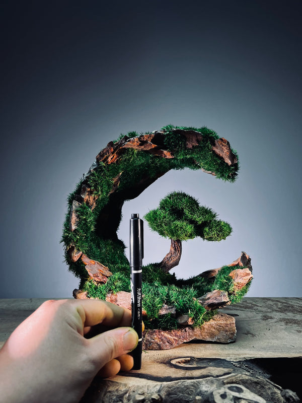 Half-Moon Bay - Crescent (Preserved Plants)