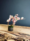 A Small Tree in the East - Cherry in Wait (Preserved Plants)