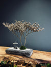 Snowfall - Anchor edition (Preserved Plants)