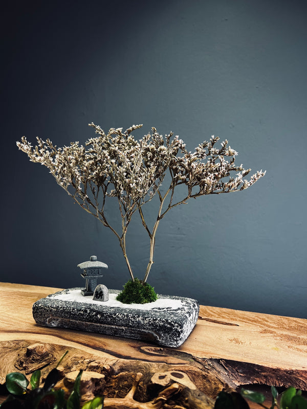 Snowfall - Anchor edition (Preserved Plants)