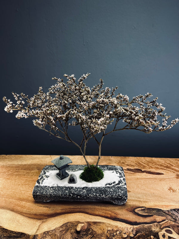 Snowfall - Anchor edition (Preserved Plants)