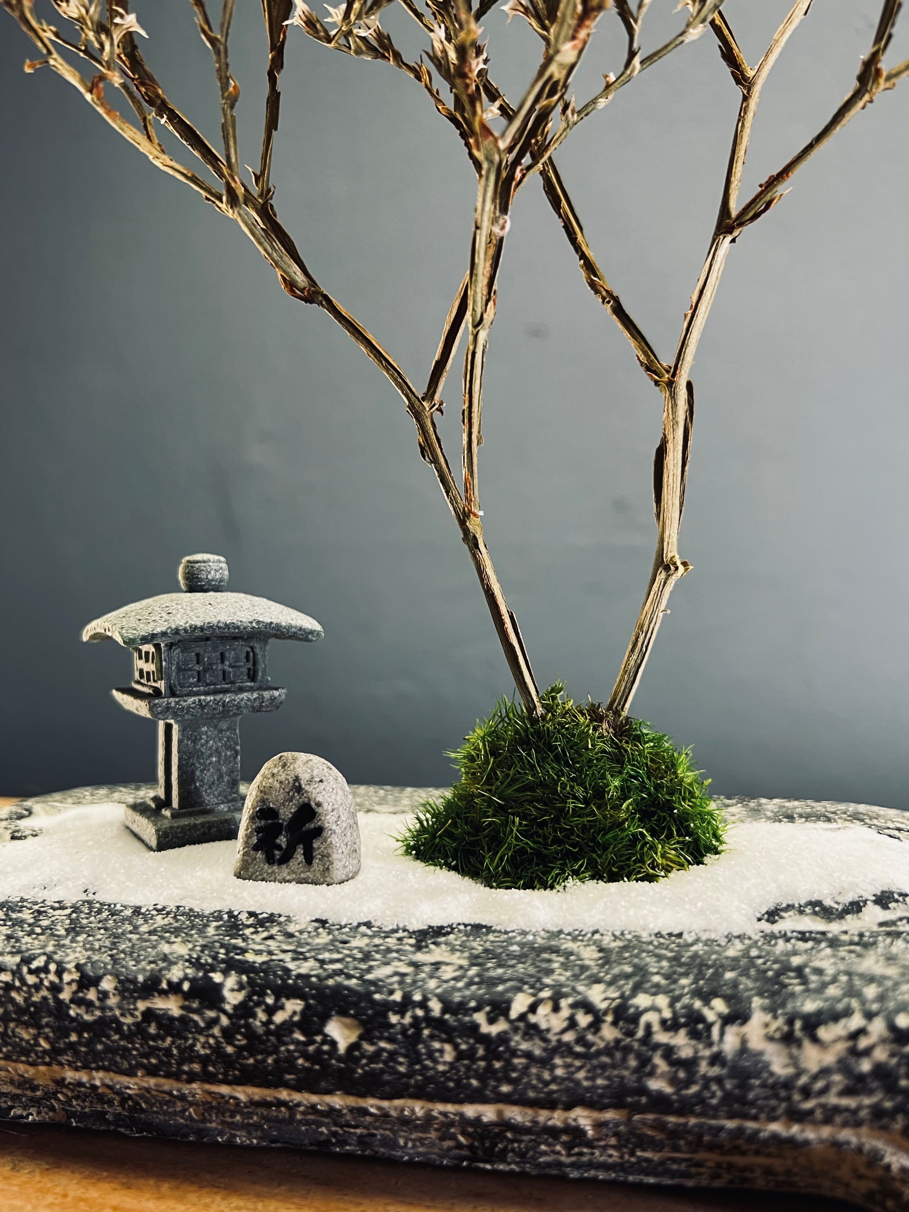Snowfall - Anchor edition (Preserved Plants)