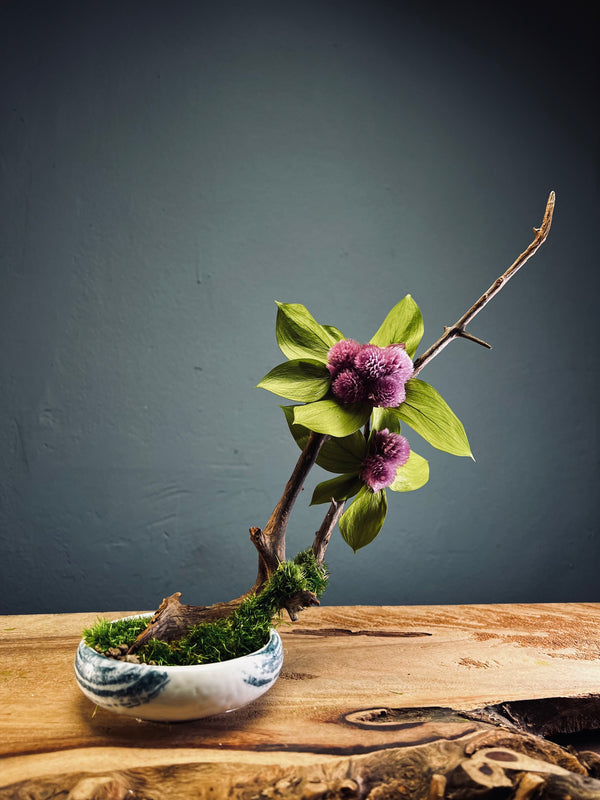Children of the Forest - Smaller version (Preserved Plants)