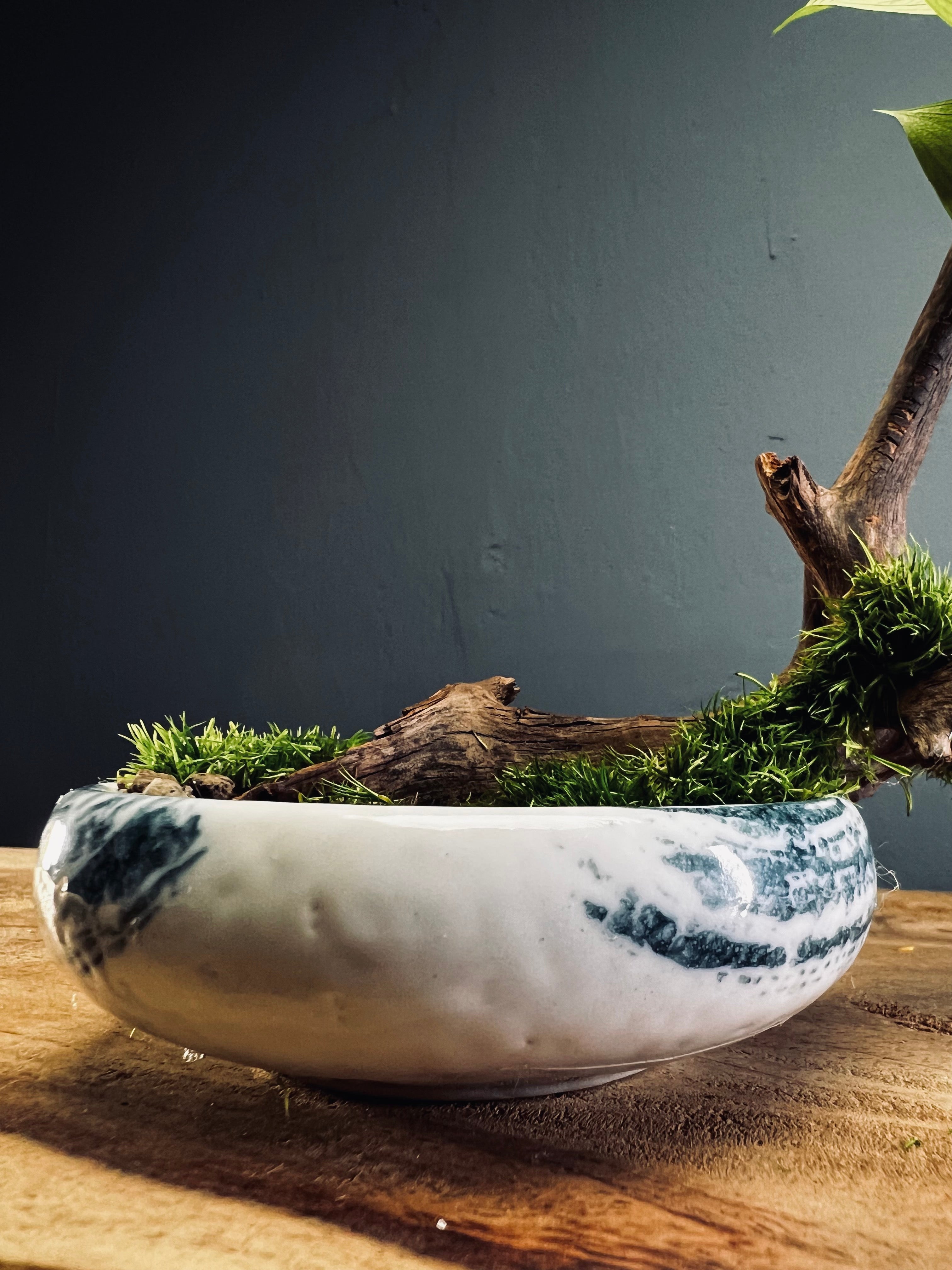 Children of the Forest - Smaller version (Preserved Plants)