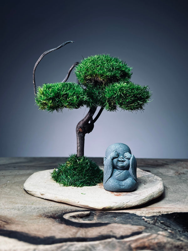 A Small Tree in the East - Classic - Journeyman (Preserved Plants)