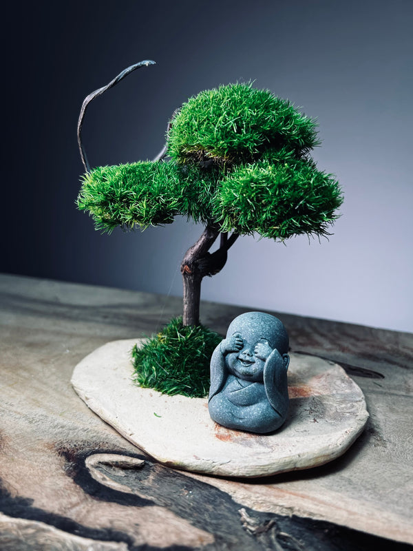 A Small Tree in the East - Classic - Journeyman (Preserved Plants)