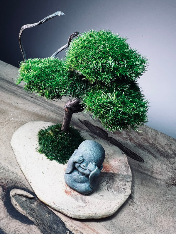 A Small Tree in the East - Classic - Journeyman (Preserved Plants)